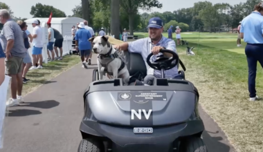 Four-legged grounds crew member, Blu, steals the show at Rocket Classic