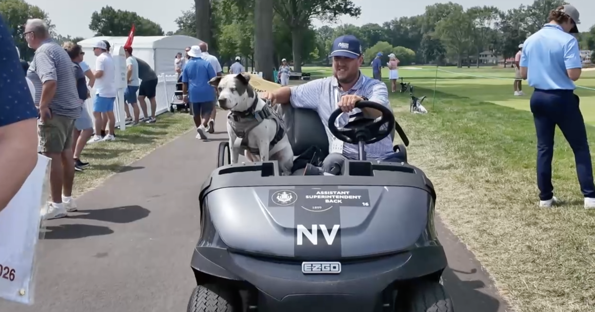 Four-legged grounds crew member, Blu, steals the show at Rocket Classic