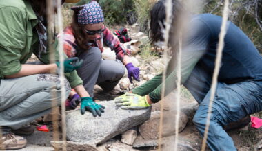 Volunteers move rocks to provide erosion control on Mount Lemmon
