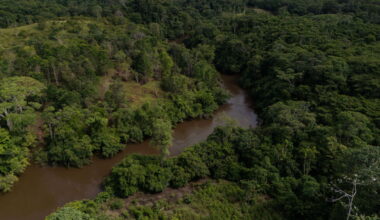 Colombia's deforestation rises 5% in 2025, Amazon pressure persists