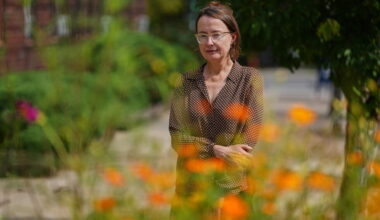 Emily Wilson is retranslating 'The Odyssey' — all over again