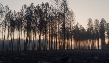 France’s wildfire nightmare echoes California’s hard lessons on building in the woods