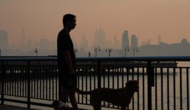 Contributor: Wildfires will only get worse until the U.S. stops ignoring the climate crisis