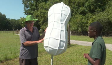 Suffolk peanut project aims to bring peanut sculptures to every city borough