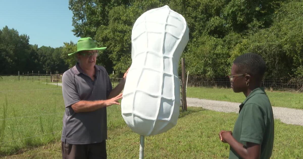 Suffolk peanut project aims to bring peanut sculptures to every city borough