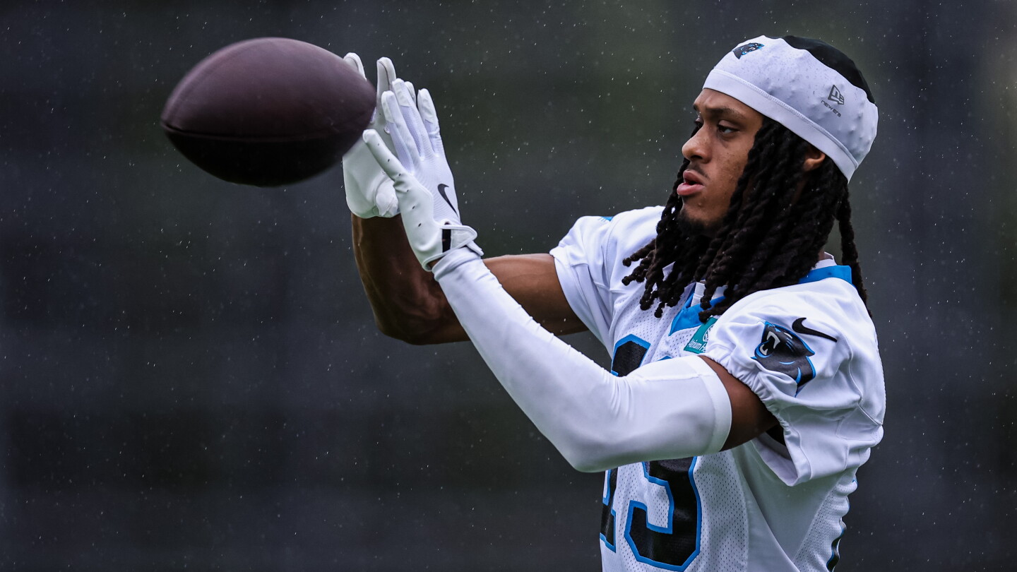 Panthers put rookie wide receiver Chris Brazzell on IR, sign tight end Chamon Metayer