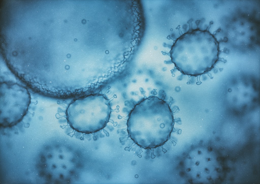 Illustration of several viruses, showing their protein coats and spikes, against a blue background.