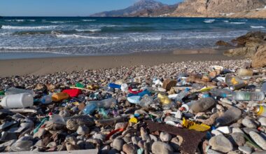 New recycling process converts plastic waste into useful chemicals using only water and oxygen