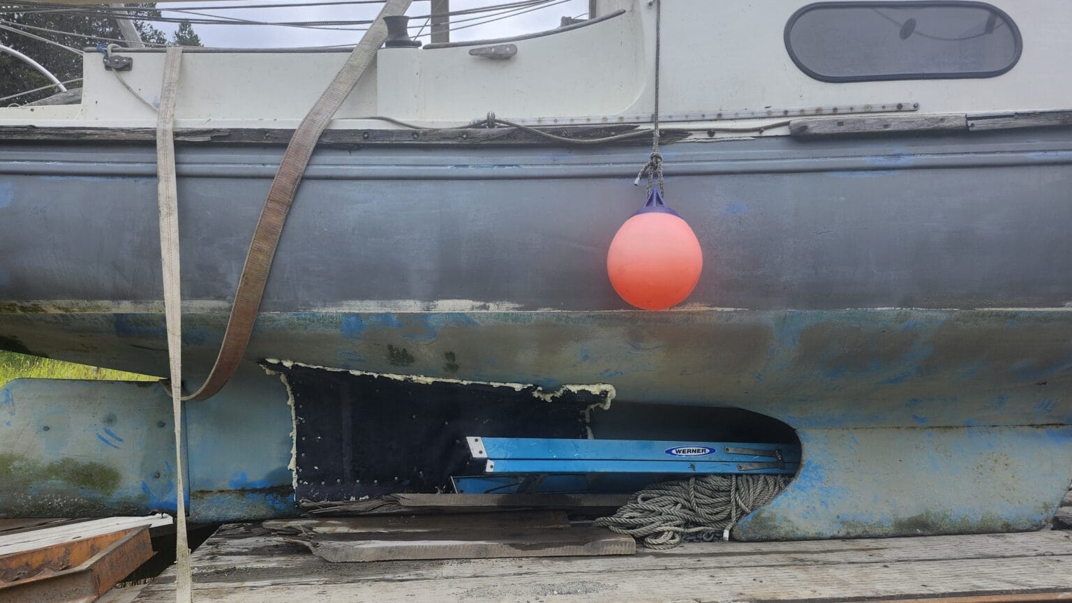 Humpback whale sinks Gustavus family’s sailboat in Glacier Bay National Park