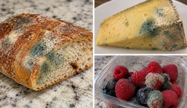 What Happens If I Eat Moldy Food? Medical Experts Explain • YeahThatsKosher
