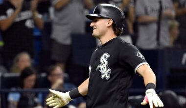 White Sox hit 4 homers to cruise past the Rays 6-1