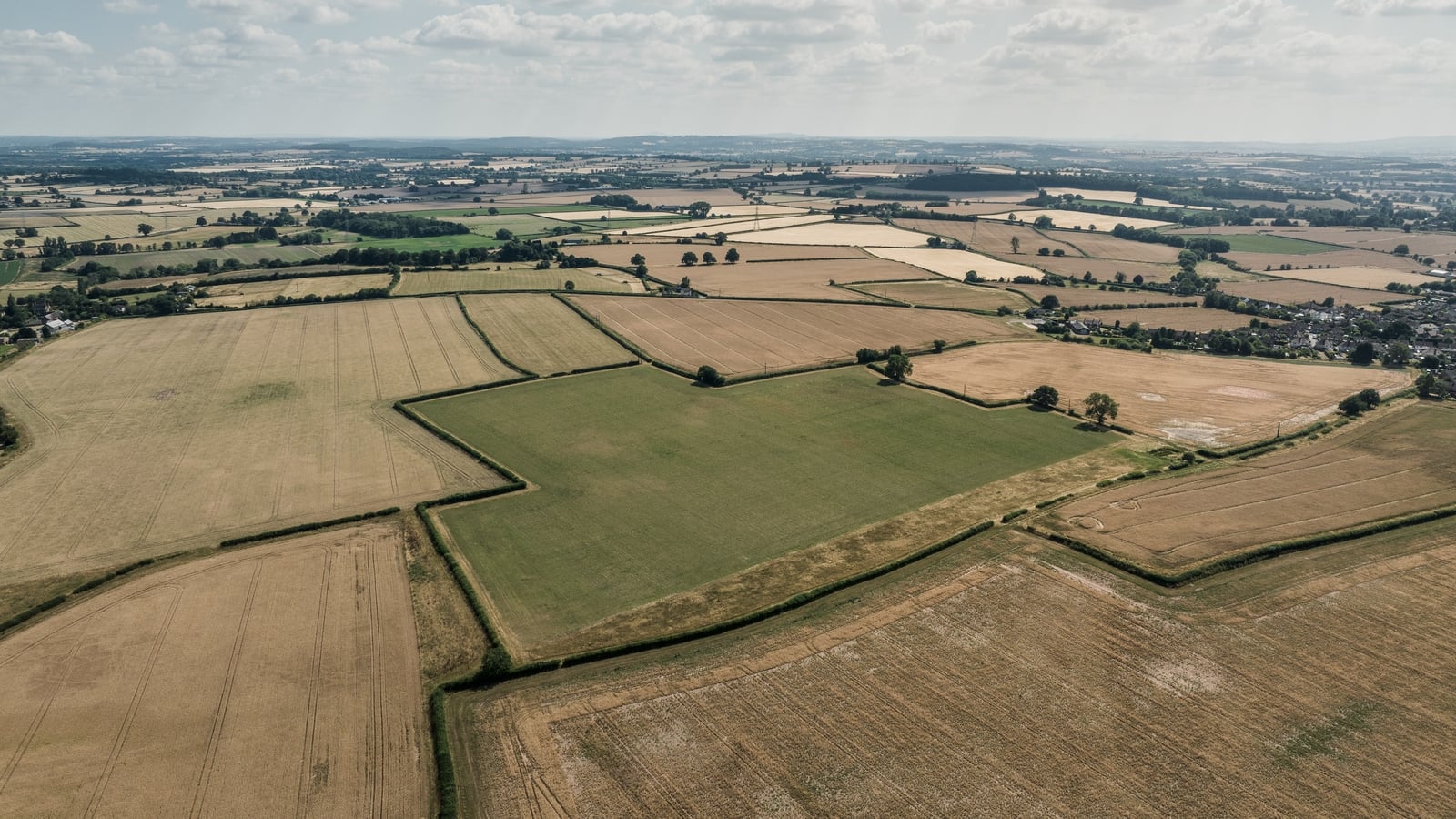 Irish droughts more likely due to climate change