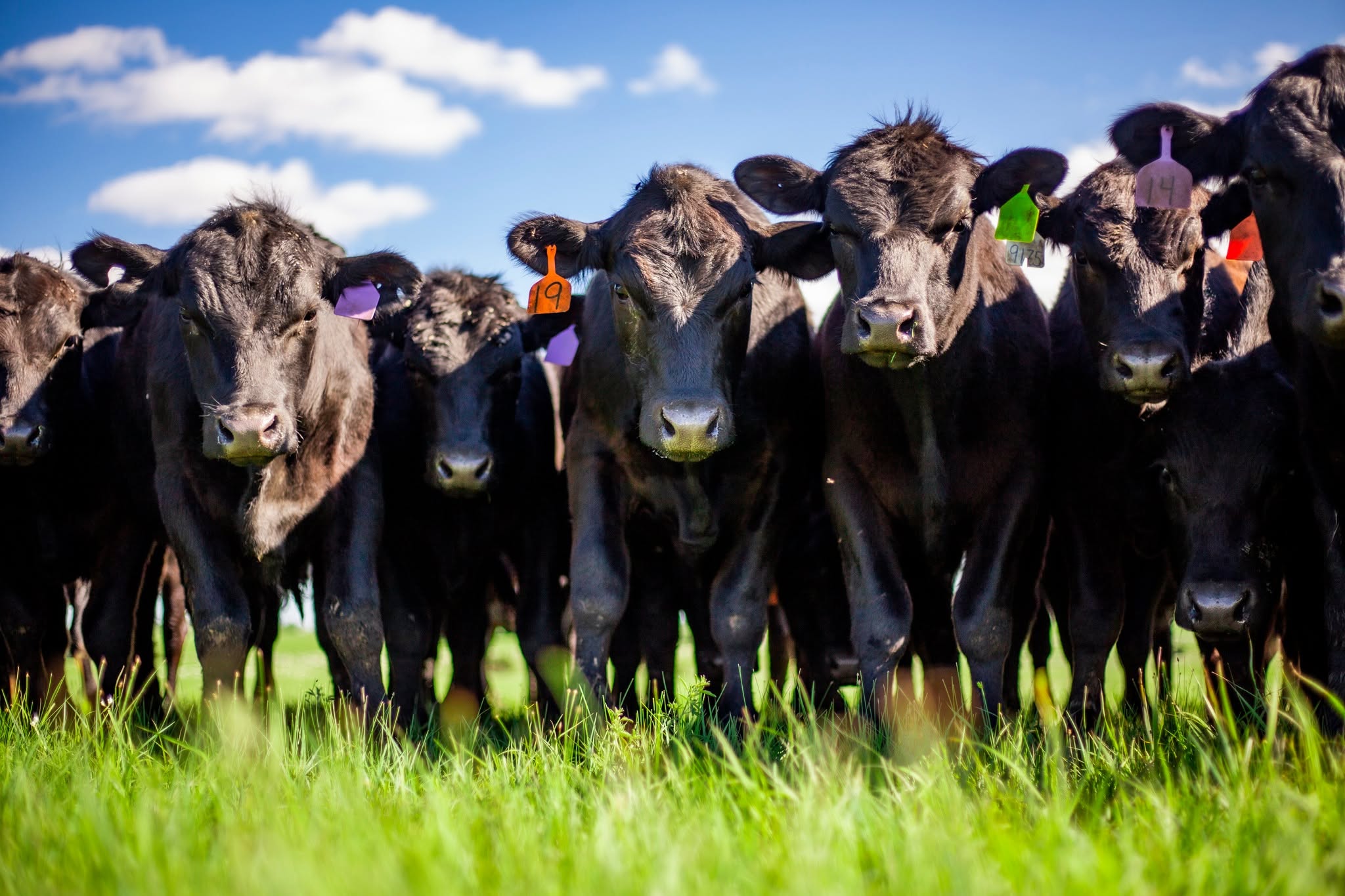Increase in diesel prices the latest input cost concern for ag producers