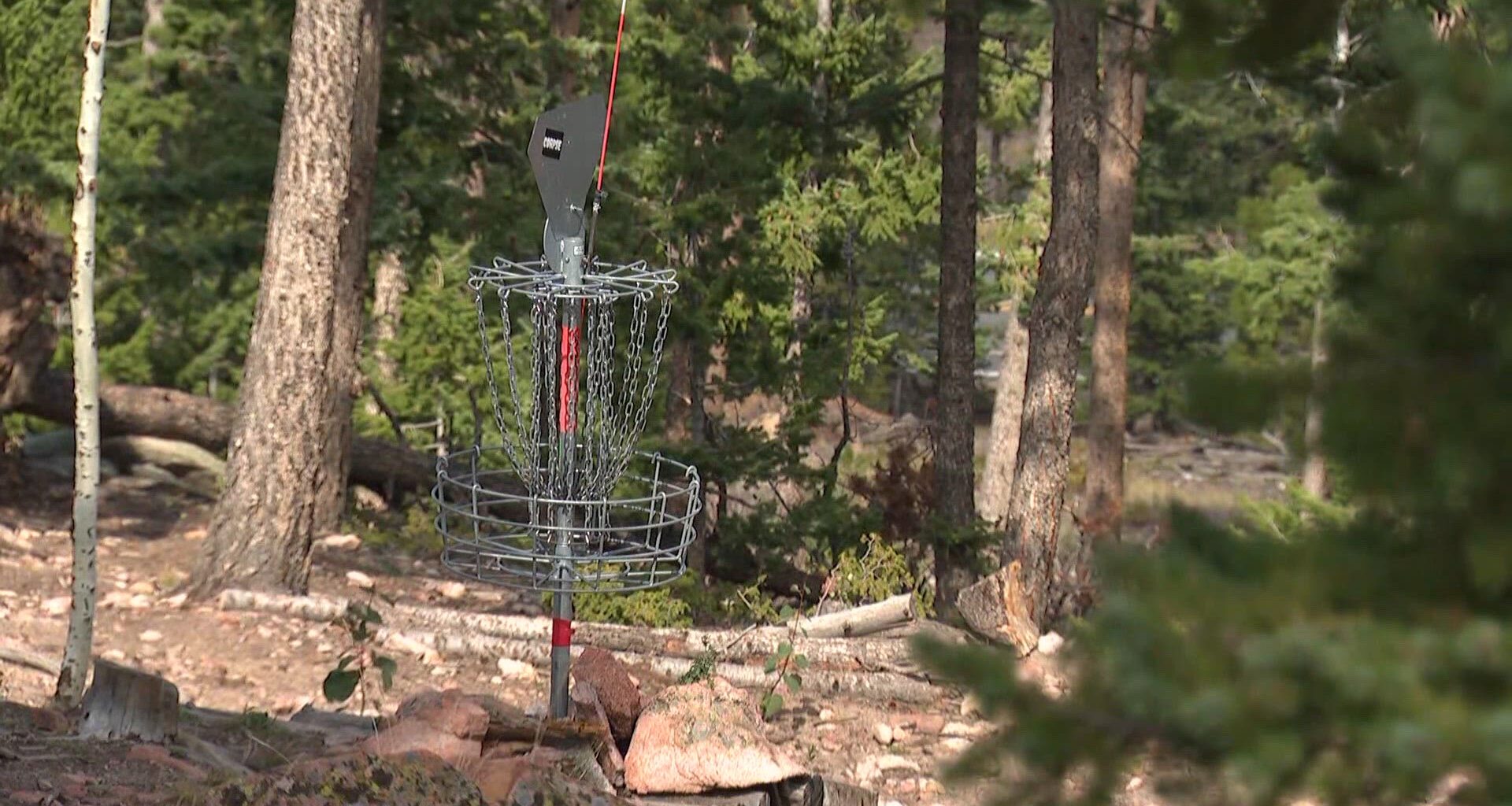 Complaint about wood chip and slash piles leads to closure of Wondervu Disc Golf Course