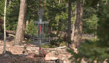 Complaint about wood chip and slash piles leads to closure of Wondervu Disc Golf Course