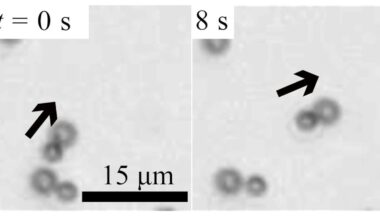 Non-reciprocal interactions keep particles in collective motion – Physics World