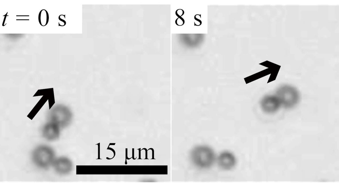 Non-reciprocal interactions keep particles in collective motion – Physics World