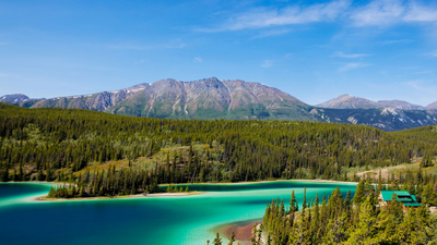 In 1993, a project set out to reconnect wildlife habitat from Yellowstone to Canada's Yukon; its partnerships have now helped create 204 crossings and protect 24 million hectares