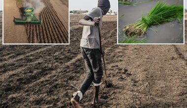 How Super El Niño could spike food prices by double-digits