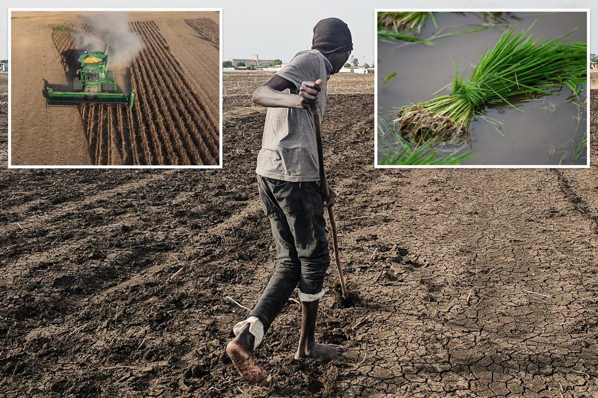 How Super El Niño could spike food prices by double-digits