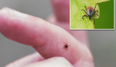 New tick-borne virus that can cause flu-like illness discovered in China