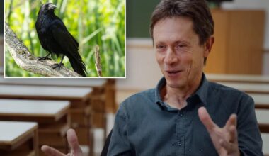 AI may soon allow humans to talk with animals — but some say it could violate their right to privacy