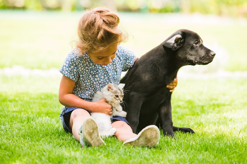 A young girl sitting in the grass with a black dog and a grey kitten.