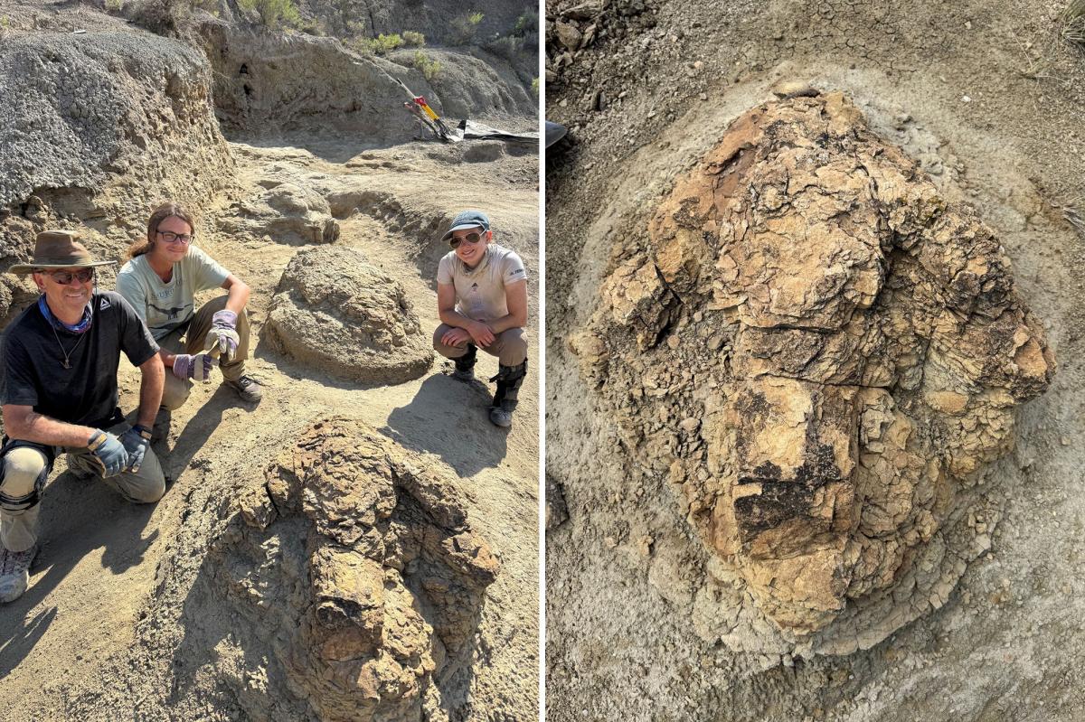 US archaeologists unearth first footprints of running T-Rex: 'Incredibly rare'