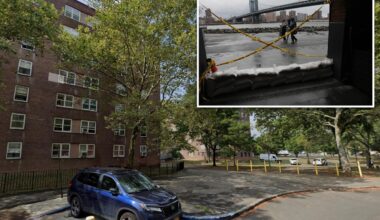 NYCHA worker killed by falling tree as nor’easter bears down with extreme wind gusts
