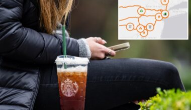 Starbucks' 'widely recyclable' plastic cups end up in landfills, incinerators: nonprofit