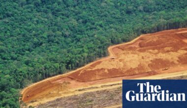 UN warns of ‘narrowing window’ to restore world’s forests | Trees and forests