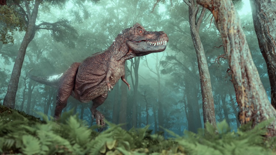 Ancient Bird Feather in Dino Poop May Hold Big Clues