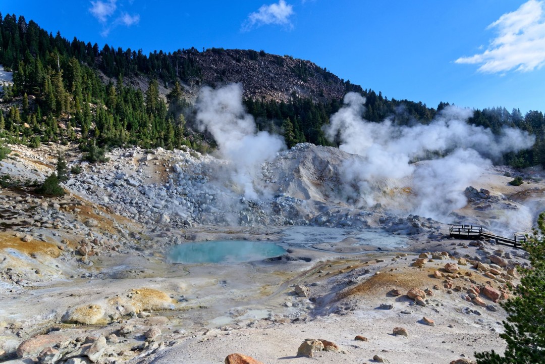 'Really Unique' Amoeba Thrives in California's Hot Springs