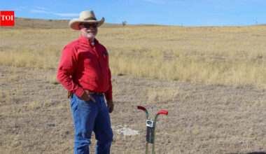 In 2014, a Colorado couple bought land to build a family ranch; by 2025 bird species had risen from 29 to 37 and grassland-bird detections doubled from 178 to 356
