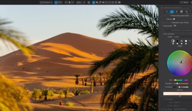 A desert landscape with sand dunes and palm trees is displayed in a photo editing software interface with color grading controls visible on the right.