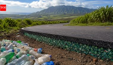 Hawaii put 195,000 plastic bottles’ worth of recycled plastic into Fort Weaver Road in 2022, but the experiment came with a hidden environmental question﻿ | World News