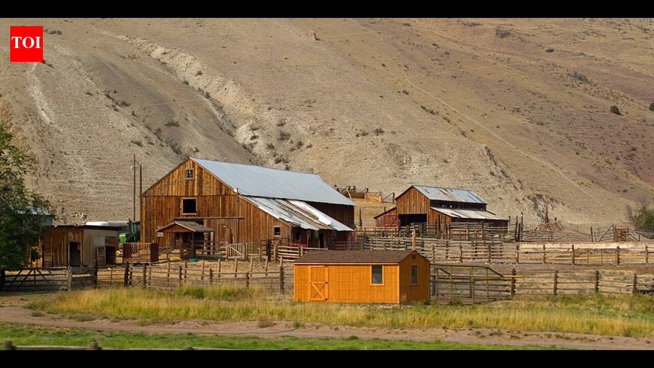 In 1989, NBC anchor Tom Brokaw bought into a 4,000-acre Montana ranch; restoring its riverbank helped bring upland bird populations back | World News