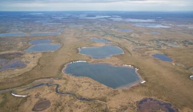 Feds seek to ‘streamline’ Arctic oil permitting, ending environment studies of individual projects