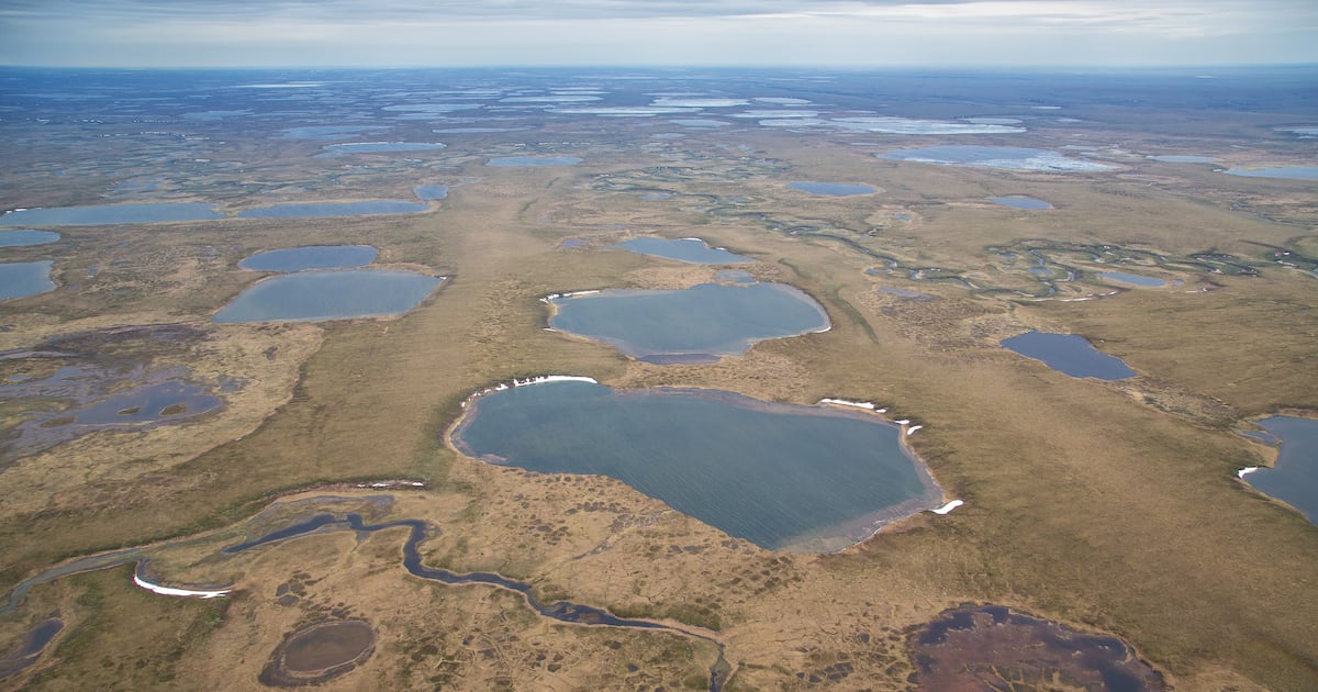Feds seek to ‘streamline’ Arctic oil permitting, ending environment studies of individual projects