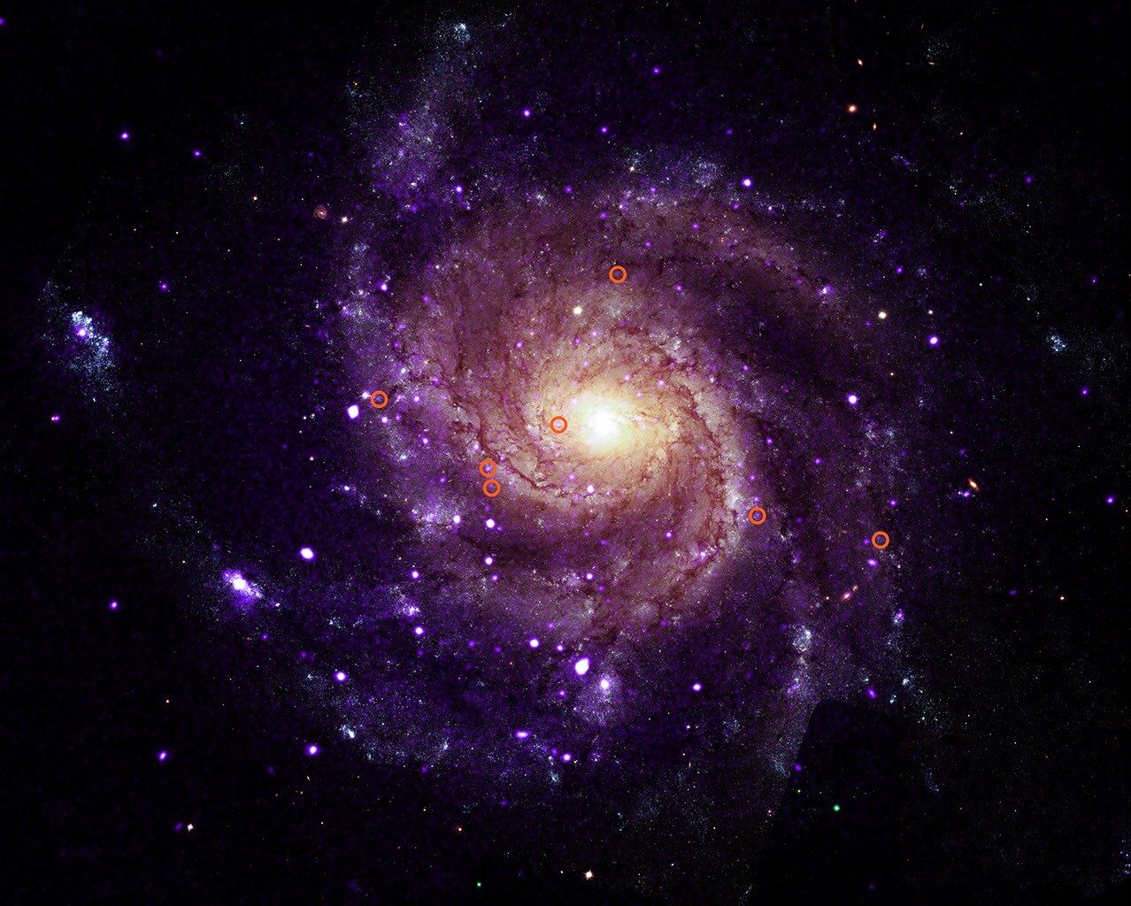 NASA’s Chandra Unveils Mysterious X-Ray Objects