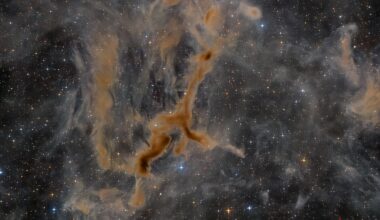APOD: 2026 September 10 - LDN 1295: The Giraffe Nebula