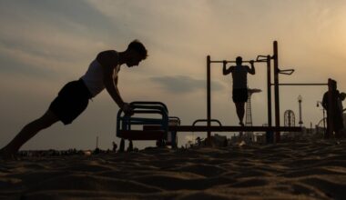Can NYC's free, plein air calisthenics gyms solve my midlife crisis?