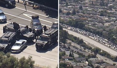 At least 2 in custody after SWAT activity on eastbound I-580 in San Leandro causes massive backup