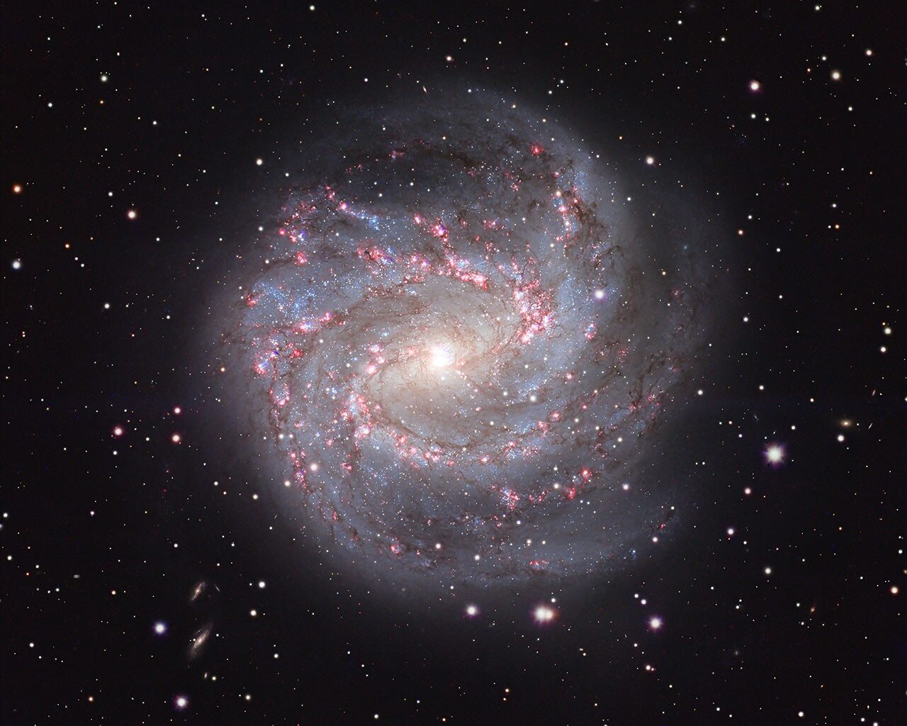 APOD: 2026 September 11 - M83: The Southern Pinwheel