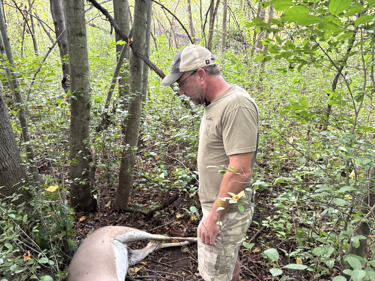 "No creature should have to die like this": Hunters fear EHD will decimate Washington County deer herd