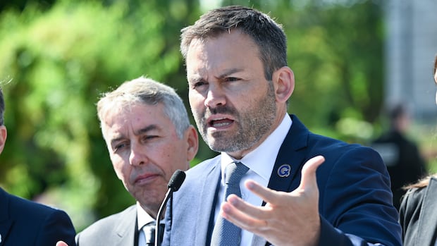 Parti Québécois leader comes under fire for $130M sovereignty referendum plan