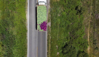 U.S. declares largest recorded cyclospora outbreak over