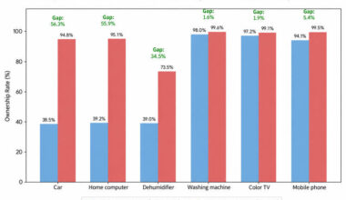 Almost all households have Internet access: survey