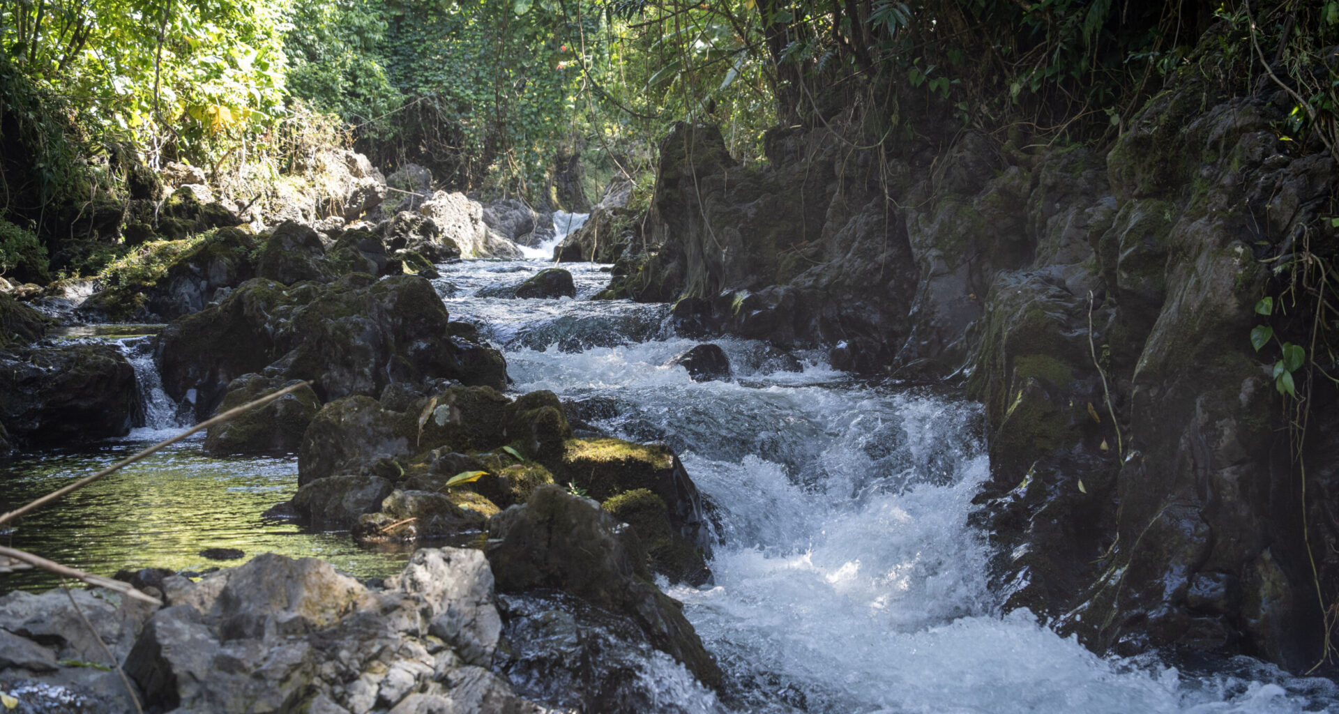 Water scarcity a top concern for Maui County political candidates : Maui Now
