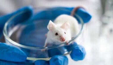 Scientist Lab Mouse Petri Dish